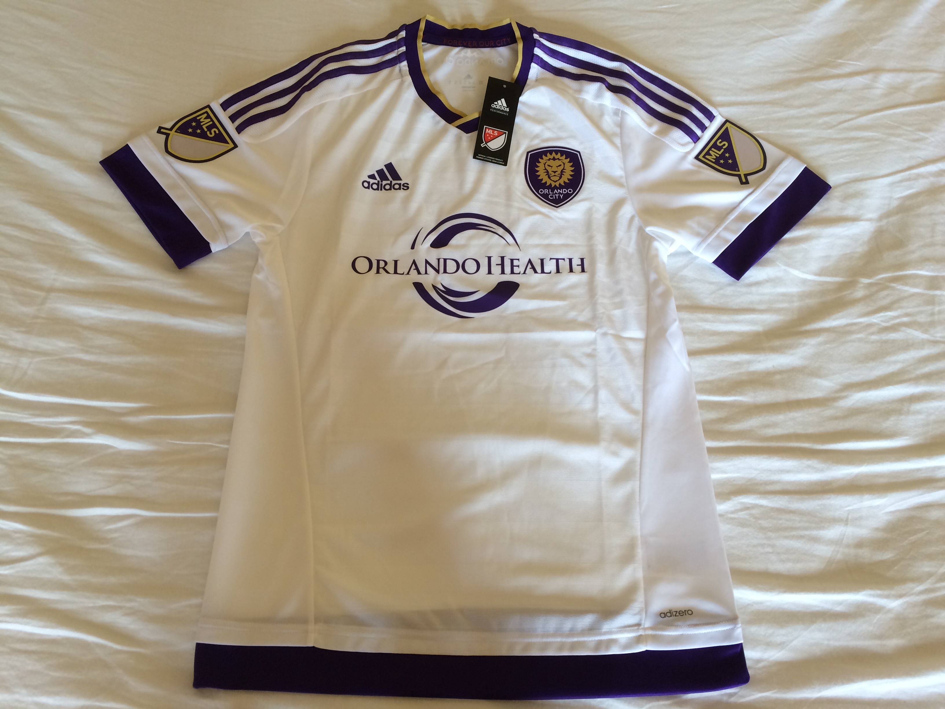 lions away jersey 2015